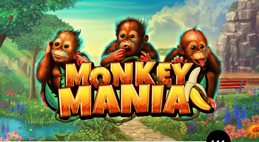 monkey mania